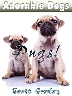 cover image of Pugs!